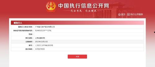富力地产爆料最新消息新闻,揭秘公司动态与市场走向  第3张